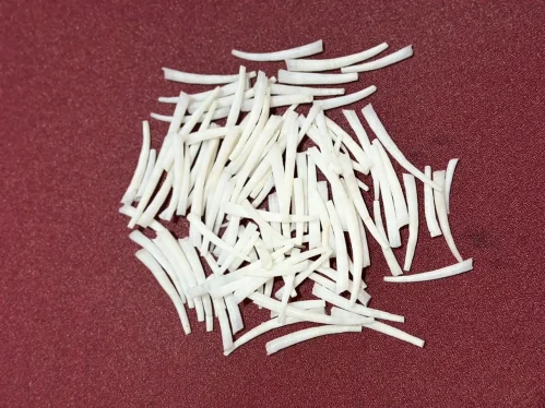dentalium shells image 4